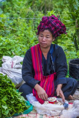 Pao kabile kadın Myanmar portresini