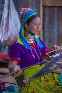 Kayan kabile kadın Myanmar portresini