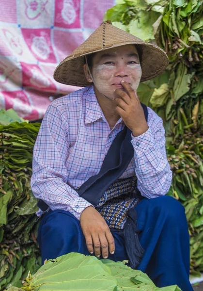 Betel leaf seller in Myanmar — Stock Photo, Image