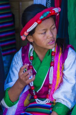 Ladakh Festivali 2017