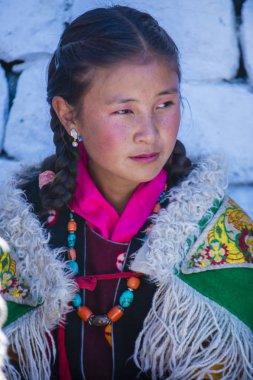 Ladakh Festivali 2017