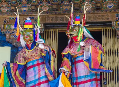 Ladakh Festivali 2017