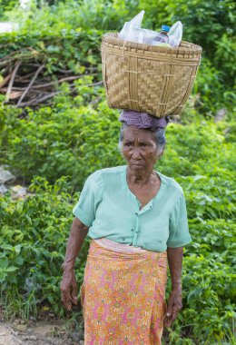 Myanmar Birmanya çiftçi