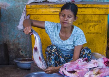 Pazar Shan devlet Myanmar