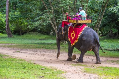 Fil binmek Angkor Wat, Kamboçya'da