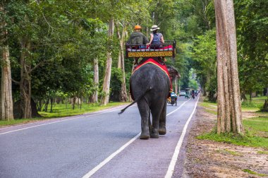 Fil binmek Angkor Wat, Kamboçya'da