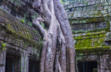 Angkor thom, cambodia