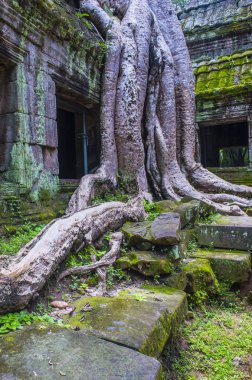 Angkor thom, cambodia