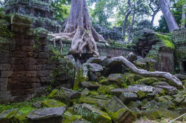 Angkor thom, cambodia
