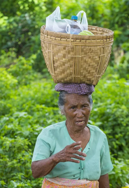 Birmese boer in Myanmar — Stockfoto