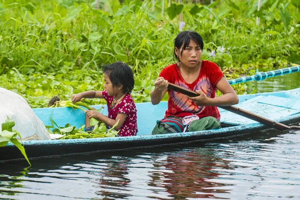 Inle lake Myanmar drijvende tuin — Stockfoto