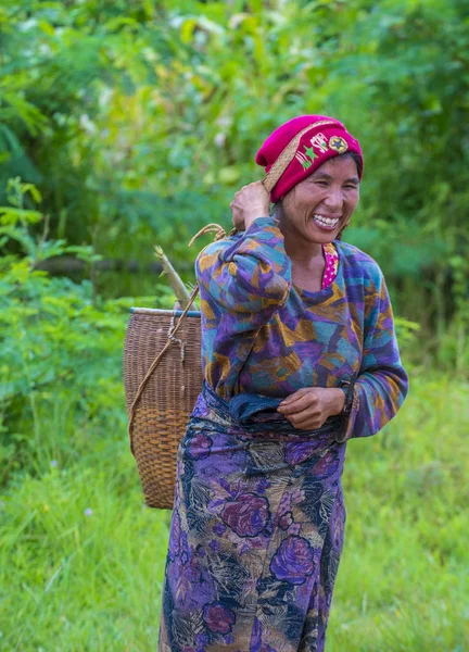 Birmański rolnika w Myanmar — Zdjęcie stockowe