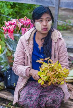 Pazar Shan devlet Myanmar