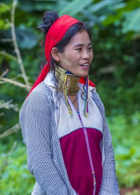 Kayan kabile kadın Myanmar portresini
