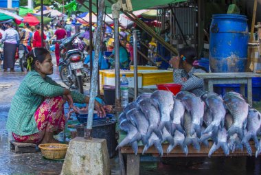 Pazar Shan devlet Myanmar