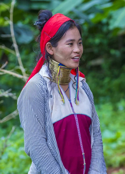 Porträt einer Frau aus dem Stamm der Kajaks in Myanmar — Stockfoto