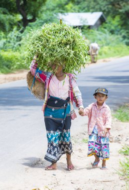 Myanmar Birmanya çiftçi