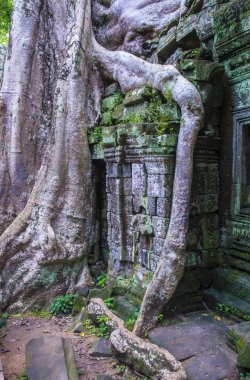 Angkor thom, cambodia