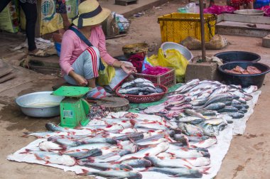 Pazarda Siem biçmek Kamboçya
