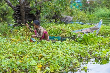 Tonle sap Gölü Kamboçya