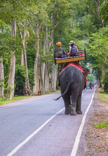Olifant rijden in Angkor Wat in Cambodja — Stockfoto