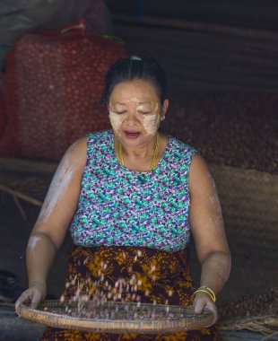 Pazar Shan devlet Myanmar