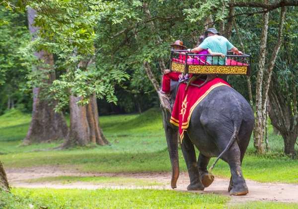 Paseo de elefantes en Angkor Wat en Camboya — Foto de Stock