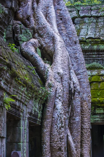Angkor Thom Cambodge — Photo