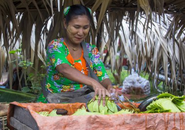 tembul yaprak satıcı Myanmar