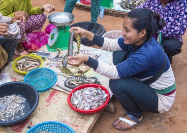 Pazarda Siem biçmek Kamboçya