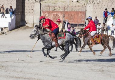 Ladakh Festivali 2017