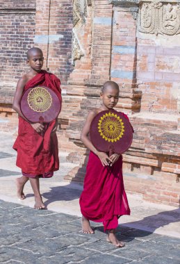 Acemi rahipler de bagan Myanmar