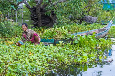 Tonle sap Gölü Kamboçya