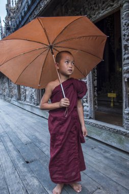 Monk at Mandalay, Myanmar Shwenandaw Manastırı
