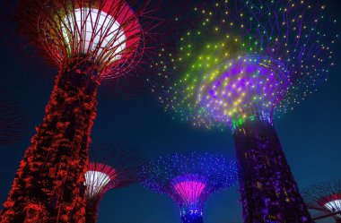 Singapur Körfezi 'ndeki Bahçeler