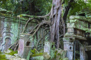 Angkor thom, cambodia