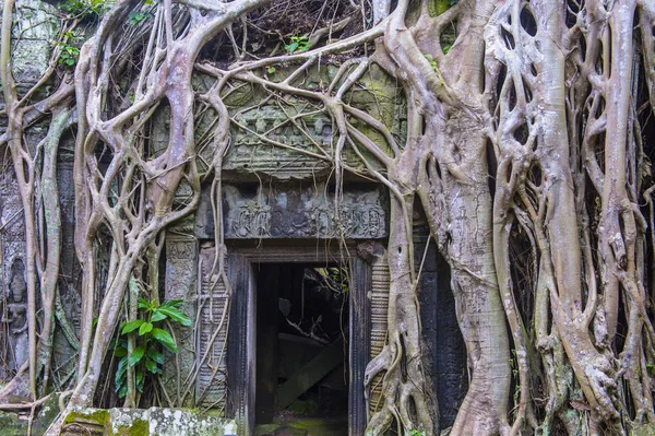 Angkor Thom Camboya —  Fotos de Stock