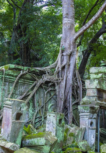 Angkor Thom Camboja — Fotografia de Stock