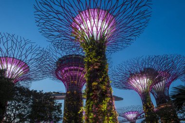 Singapur Körfezi 'ndeki Bahçeler