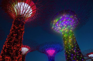 Singapur Körfezi 'ndeki Bahçeler