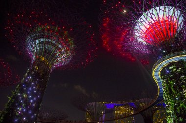 Singapur Körfezi 'ndeki Bahçeler