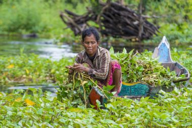 Tonle sap Gölü Kamboçya