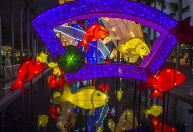 Hong Kong 2018 bahar fener sergi