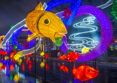 Hong Kong 2018 bahar fener sergi