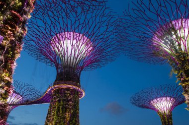Singapur Körfezi 'ndeki Bahçeler