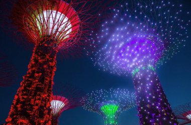 Singapur Körfezi 'ndeki Bahçeler