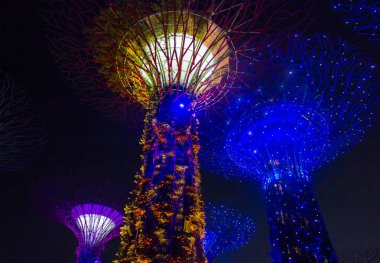 Singapur Körfezi 'ndeki Bahçeler