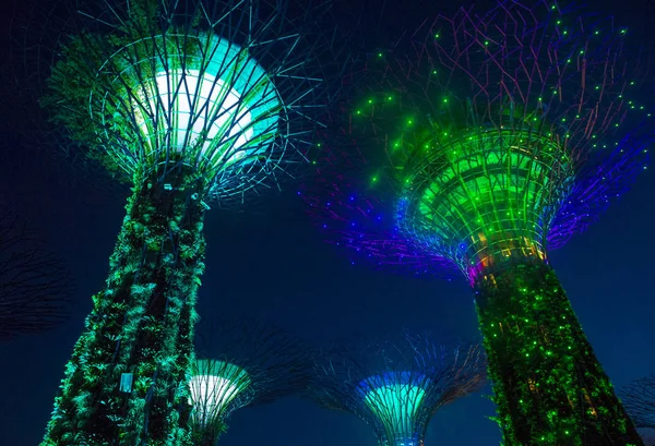 Jardines cerca de la bahía en Singapur — Foto de Stock