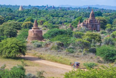 Bagan Myanmar tapınakları
