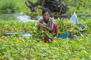 Tonle sap Gölü Kamboçya